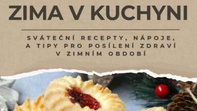 https://www.inomentors.cz/wp-content/uploads/2024/12/ebook-400x225.jpg